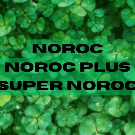 Noroc, Noroc Plus și Super Noroc: Cum adaugă acestea valoare experienței de joc la Loto?